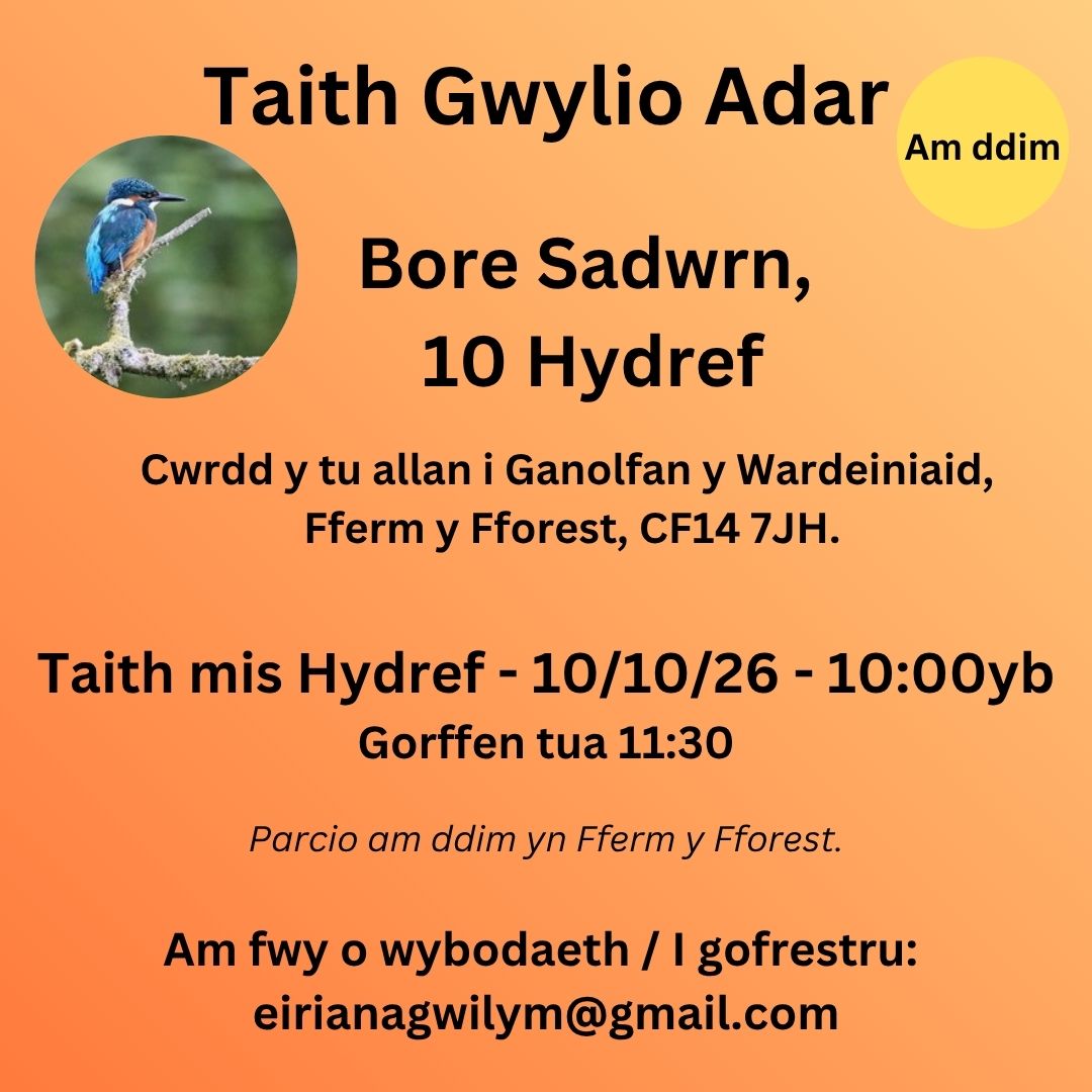 Taith Gwylio Adar - DIGWYDDIAD ALLANOL